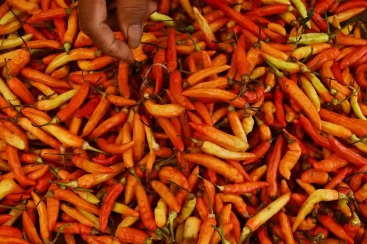Bapanas Siapkan Trik Jitu untuk Menanggulangi Kenaikan Harga Cabai yang Melonjak Drastis
