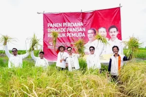 Pemuda-pemudi Bersatu untuk Swasembada Pangan di Panen Perdana