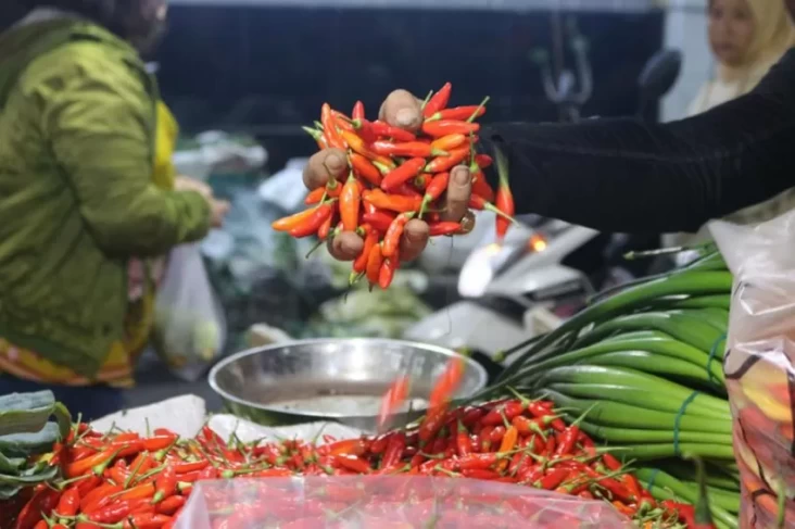 "Perjuangan Kenaikan Harga Pangan Masih Berlanjut, Bawang, Cabai, dan Beras Masih Menyengat di Pekan ke-9 Maret 2025"