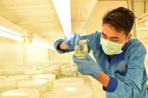 EWINDO Berikan Dukungan untuk Meningkatkan Potensi Industri Hortikultura dengan Fasilitas Penelitian Terbaru