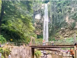 Destinasi Wisata Terbaik dan Hemat di Karanganyar 2025, Lokasi Favoritmu?