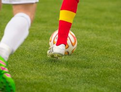 Prediksi Skor Italia vs Norwegia 16 November 2025