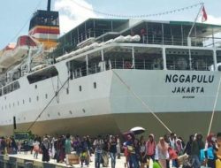 Jadwal Kapal PELNI KM Nggapulu Desember 2025: Rute dan Harga Terbaru