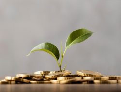 GORO Lolos Sandbox OJK, Percepat Tokenisasi Properti