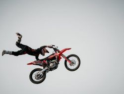 Berani Ambil Risiko, 6 Shio Tak Pernah Takut Kejar Uang