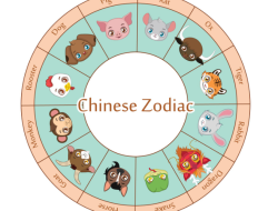 Siapkan Dirimu! 6 Shio Ini Dikaruniai Rezeki dan Keberuntungan pada 16 November 2025