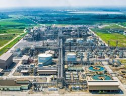 Emiten Hapsoro (RATU) Cetak Laba Rp 197 M, Pendapatan Turun 13% Kuartal 3