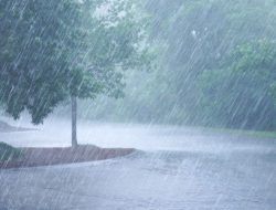 BMKG: Wilayah Ini Siap Hadapi Hujan Lebat dan Angin Kencang 23-24 November 2025
