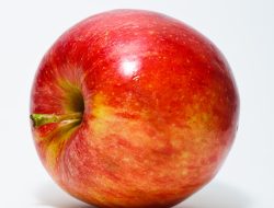 Apple Umumkan Rencana Peluncuran Mac Sepanjang Tahun 2026, Ada MacBook Murah?