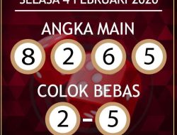 Prediksi Skor, H2H, dan Susunan Pemain Udinese vs Bologna di Serie A
