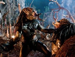 Predator Anak di Denpasar, Ahmad Divonis 8 Tahun Penjara