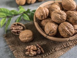 6 Manfaat Kacang Kenari, Nutrisi Emas untuk Otak dan Jantung
