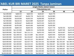Pinjaman KUR BRI 2025: Peluang Emas UMKM, Cicilan Murah dengan Bunga 6%