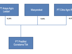 Mahfud: Pernyataan Raja Juli Buka Mata Soal Kepemilikan Saham Prabowo di Perusahaan Pengelola Hutan
