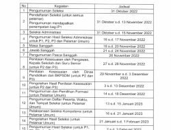 Seleksi Tenaga Kependidikan Sekolah Rakyat Hanya untuk PPPK Paruh Waktu, Ini Jadwal Pelamar Umum