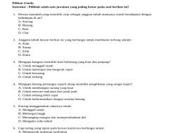 50 Soal UAS IPAS Kelas 3 Semester 1 yang Mungkin Keluar