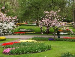 Taman Pintar & Science Park Indonesia: Rekomendasi Wisata Edukasi Anak Liburan Tahun Baru 2026