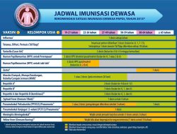 Jadwal KM Lambelu 2025: Palu-Balikpapan Berlayar Besok, Diskon 20 Persen!