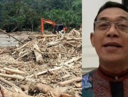 Laksmi Wijayanti Tegaskan Tidak Ada Izin Penebangan Pohon Sebelum Banjir Sumatera