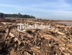 Mantan Kabareskrim Akui Kesulitan Lacak Asal Kayu Terbawa Banjir Sumatra