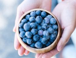 7 Makanan Kaya Antioksidan untuk Kulit Sehat