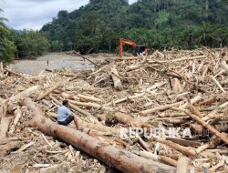 Menghidupkan Kembali ‘Taring Ekologis’ Negeri Ini
