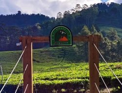 7 Wisata Alam Hijau di Puncak Bogor untuk Liburan Akhir Tahun Bersama Keluarga