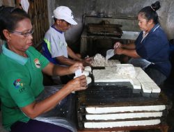 Gakoptindo: Ancaman Inflasi Kedelai, Solusi Segmentasi Lokal dan Impor