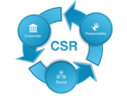 CSR BRI Peduli Bantu Korban Banjir di Sumut, Sumbar, dan Aceh