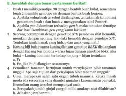 Kunci Jawaban PKN Kelas 9: Uji Kompetensi B dan C Halaman 139-140