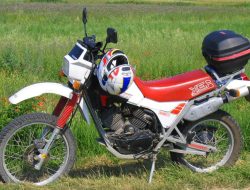 Moto Morini Kanguro 300 2026: Petualangan Dual Sport Bergaya Retro untuk Kota dan Off-Road