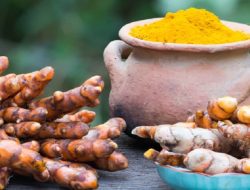 Cara Temulawak Indonesia Jadi Global, Tiru Ginseng Korea Selatan