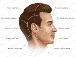 Cara Klaim Diskon 20% Tiket Kereta Eksekutif Hingga 12 Desember 2025