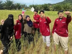 Opini: Menanam Harapan di Tanah Kering