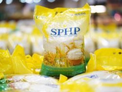 Beras RI Swasembada, Bulog Dorong Harga Seragam Nasional