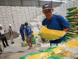 Stok Beras Nasional Tertinggi Pengaruhi Pasar Global