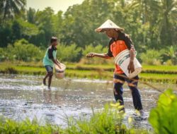Jajaki Kemitraan Strategis, Kanada Tantang Potensi Ekonomi NTB