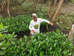 Pemberdayaan Petani untuk Restorasi Pesisir Surabaya