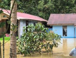 OIKN selesaikan penyebab banjir IKN, ditangani tahun ini