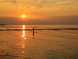 Kedamaian sebagai bentuk perlawanan di tengah kebisingan
