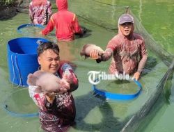 Ekonomi Solo Raya Melesat Saat Libur Nataru, Petani Ikan Untung, Wisata dan Hotel Penuh