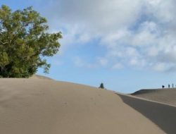 6 destinasi wisata daratan dekat Pantai Parangtritis, dari religius hingga sejarah