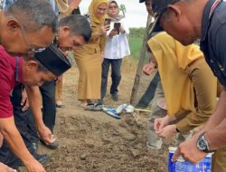 Produksi Bawang Merah Lokal Palu Ditingkatkan, Petobo Siap Jadi Pusat Hortikultura