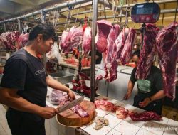 Asosiasi Kritik Pemerintah Kurangi Kuota Impor Daging Sapi Perusahaan Swasta