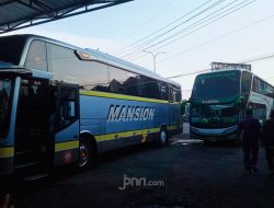 Jadwal dan Harga Tiket Bus AKAP Bali ke Jawa Sabtu (31/1), Cek Sekarang!