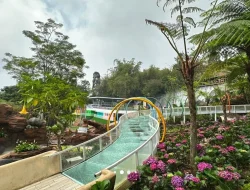 7 Tempat Wisata Populer di Bandung Tahun 2025, Rekomendasi Liburan Sekolah Bersama Anak