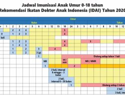 Jadwal Kapal PELNI KM Awu Januari 2026: Rute & Harga Terbaru
