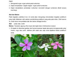 Cinta Ahmad dan Sisri: Hubungan 28 Tahun dari Bawahan ke Suami