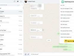 Cara Mengaburkan Pesan WhatsApp Web dengan Ekstensi Privasi