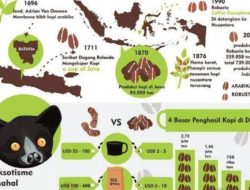 Kunci Jawaban Bahasa Indonesia Kelas 12: Halaman 165-167, Sejarah Kopi